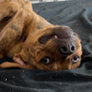 Meet your Posher, Naomi